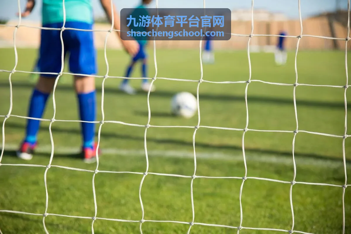 九游体育平台官网安卓安装包选择界面示意