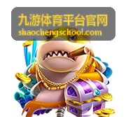 安装过程中的权限授权与安装路径设置示意