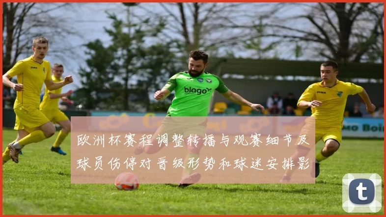 欧洲杯赛程调整转播与观赛细节及球员伤停对晋级形势和球迷安排影响