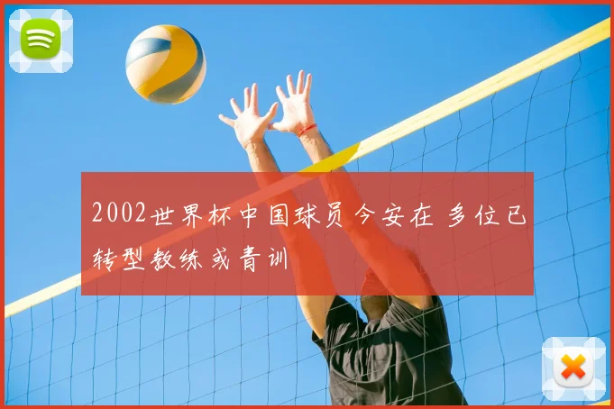 2002世界杯中国球员今安在 多位已转型教练或青训