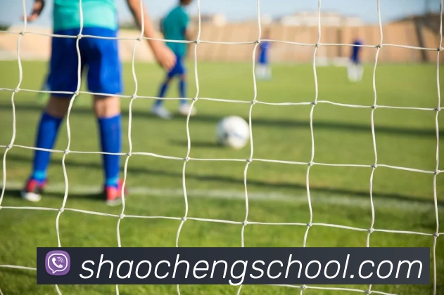 星空体育官网首页APP 封面图